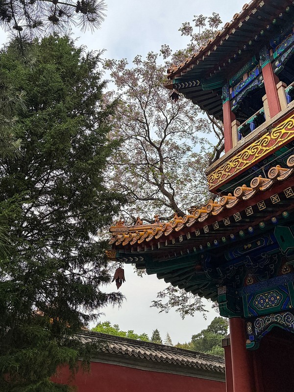2026年- 北海公园禅福寺纪实拍-0333