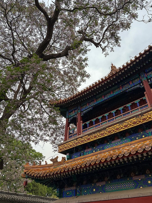 2026年- 北海公园禅福寺纪实拍-0333