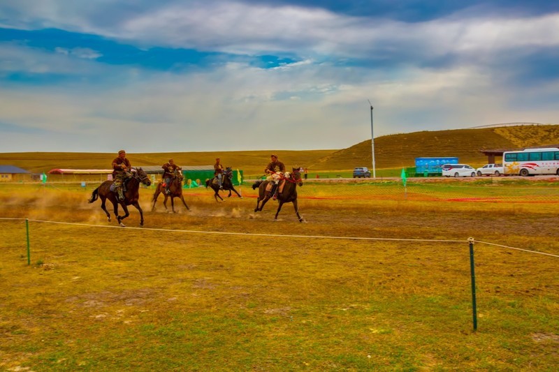 昭苏湿地公园跑马场 3