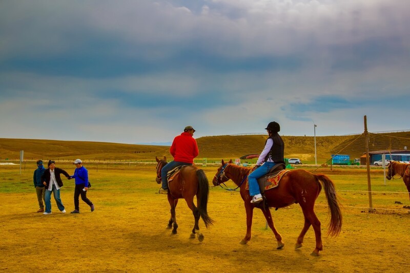 昭苏湿地公园跑马场 3