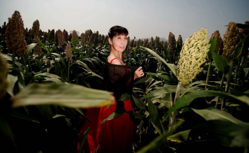 环境人像----高粱地的村姑！