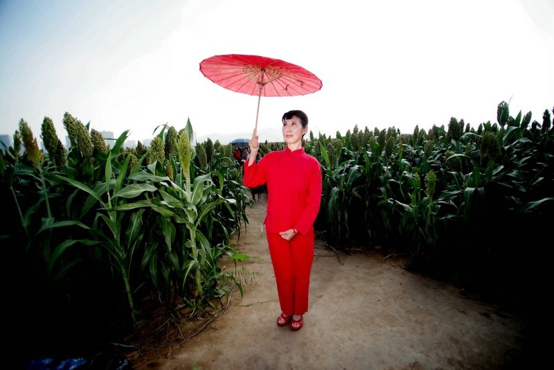 环境人像----高粱地的村姑！