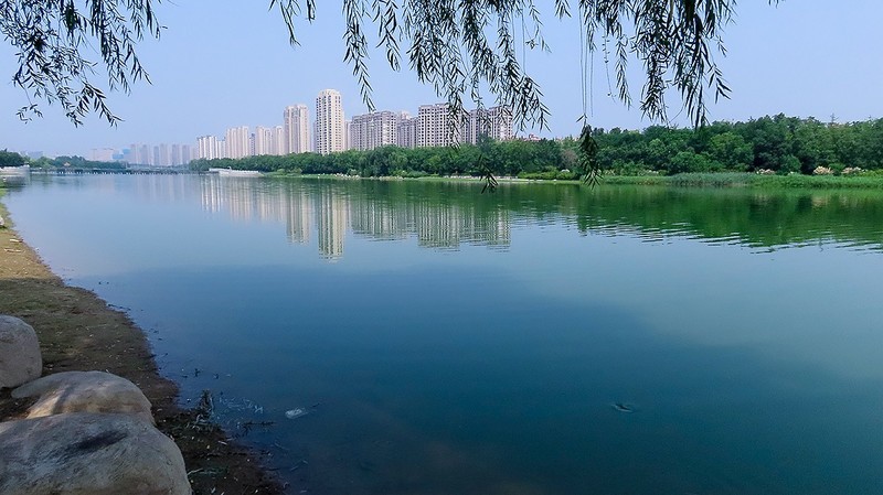 一河一世界----贾鲁河生态随拍