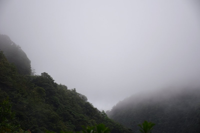 2026夏天游（22）主峰青鹅仙