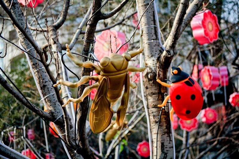 五龙潭公园杂拍