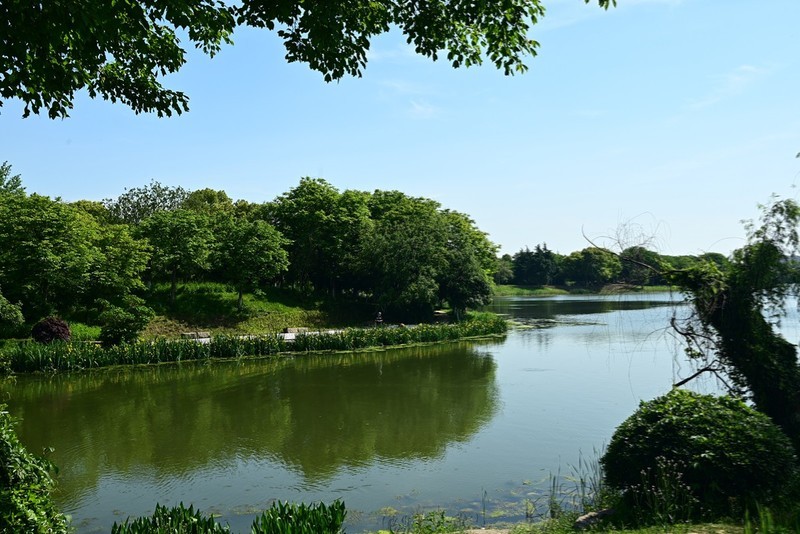 凤鸣湖畔（续）