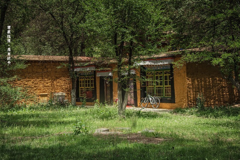 西藏拉萨 · 罗布林卡