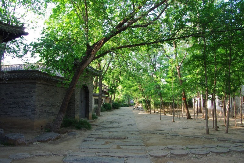 探秘黄叶村