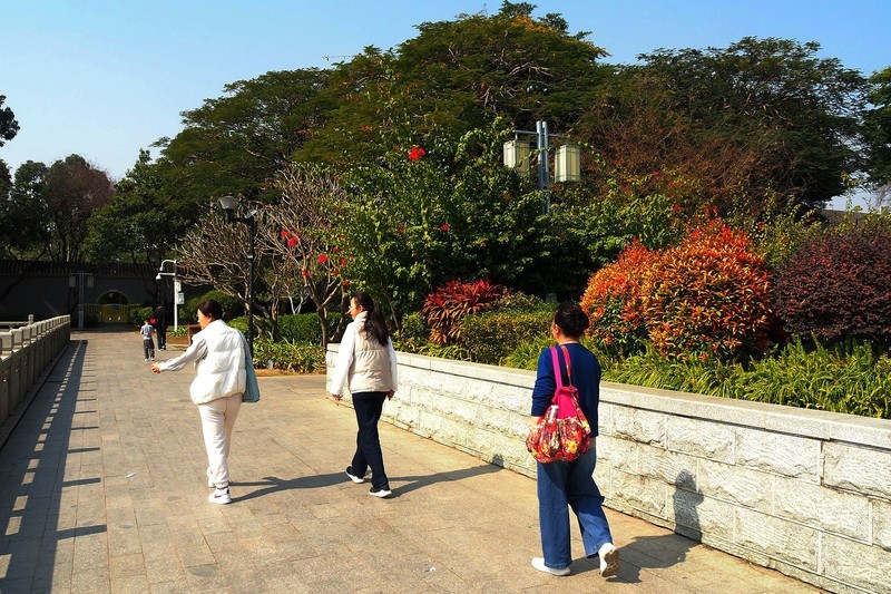 顺德——顺风山公园（2）