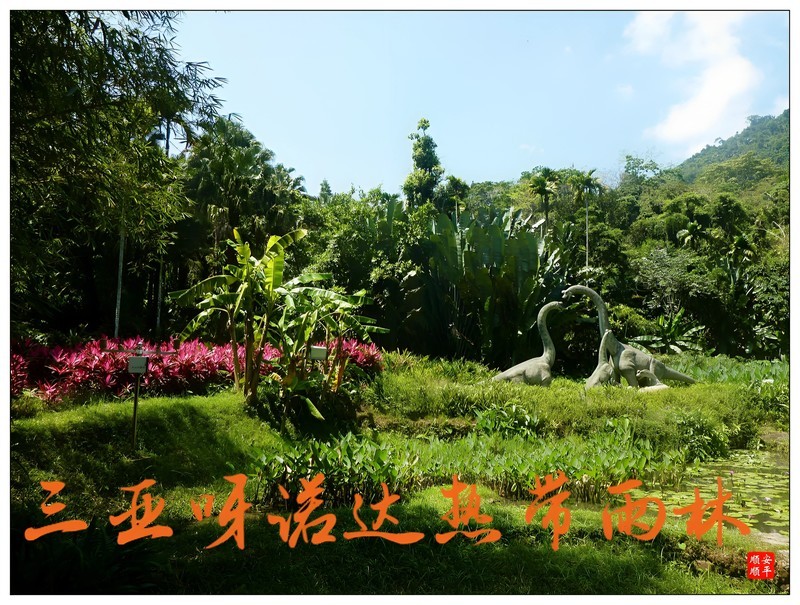 旅游随拍……海南呀诺达热带雨林风景区风景(上)