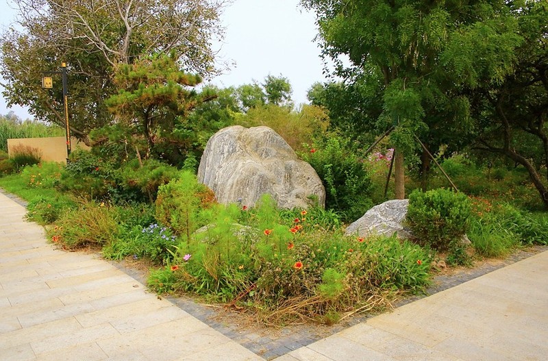 1603【不老松：纪实摄影】 大运河畔：河北沧州黄河路至海河路段！(03)运河两岸的休闲