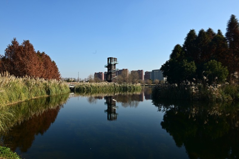 湿地景色（续）