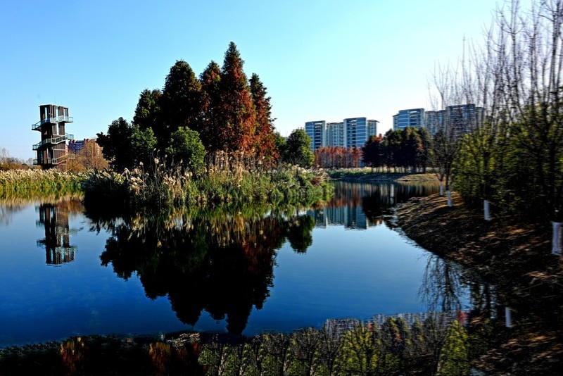 湿地景色（续）