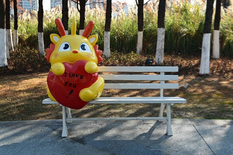 湿地景色（续）