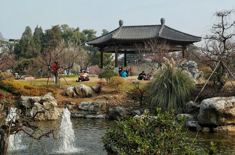 武汉梅花园（十九）