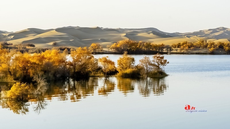 南疆行——尉犁葫芦岛的风景（8）