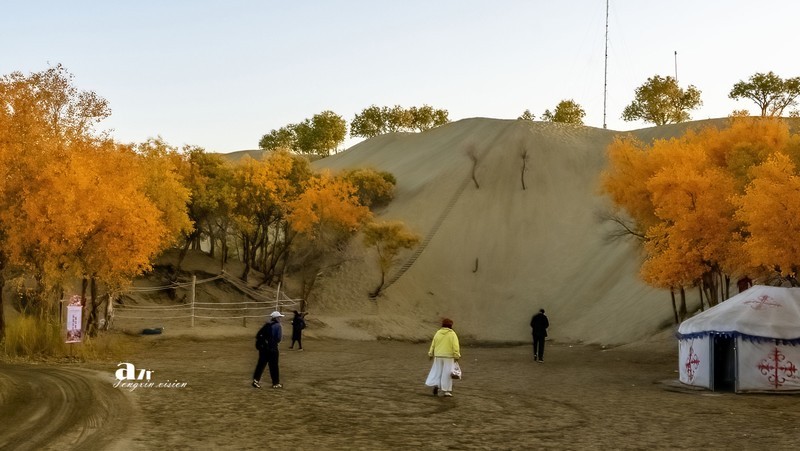 南疆行——尉犁葫芦岛的风景（8）
