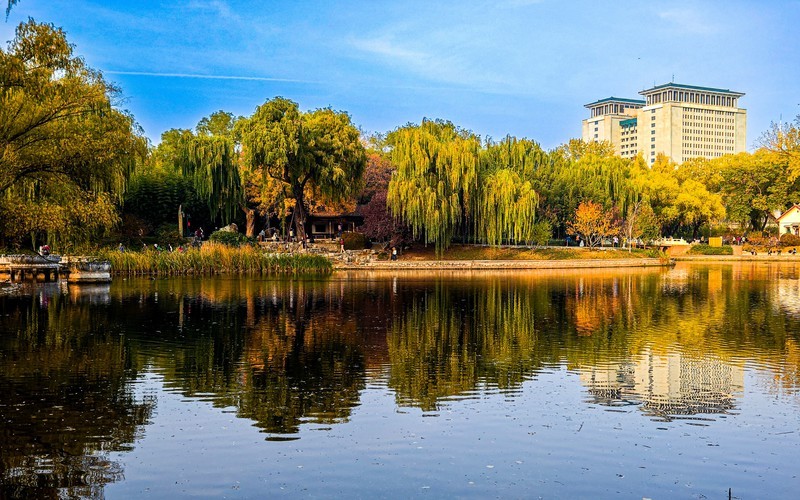 手机游拍20241112《74》