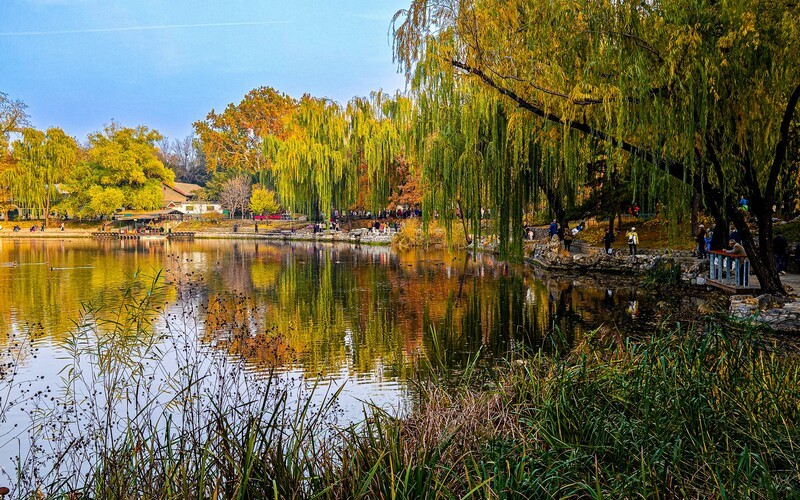 手机游拍20241112《74》