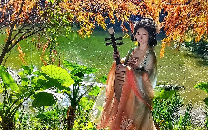 [26045] 华南植物园随拍