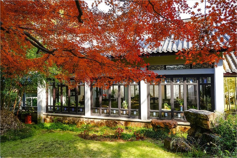 2026年第0116贴-无锡鼋头渚风光旅拍（0210）