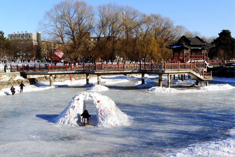 冬逛泰和园（3）