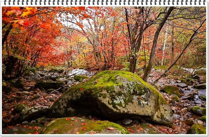 2025年-人文风光纪实抓拍-0994