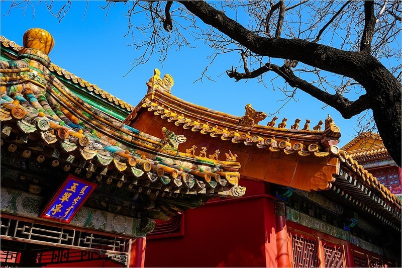 2026年第0119贴-故宫博物院纪实旅拍（0211）