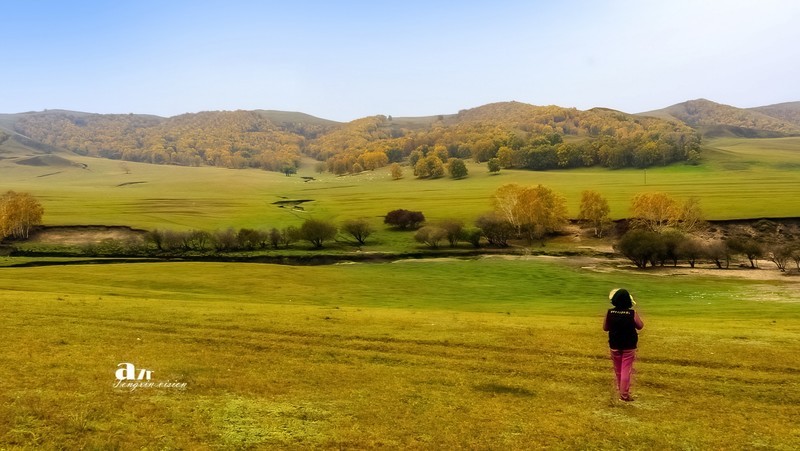 金秋乌兰布统——杨树背（8）