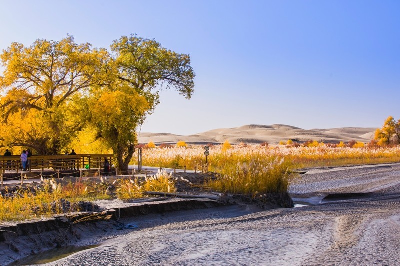 外出随拍（662）.