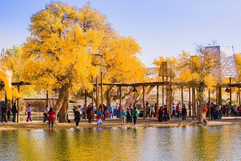 外出随拍（662）.