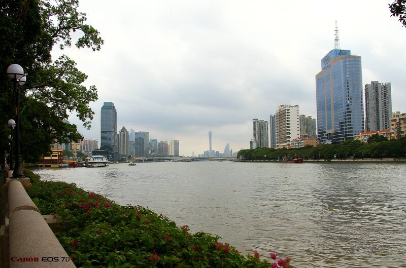 海珠桥的附近。