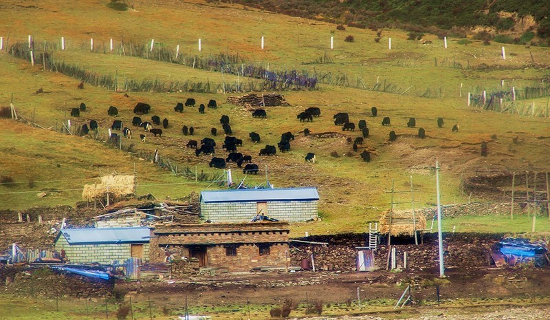 旅游天地（12）----嘉绒藏族高原牧场