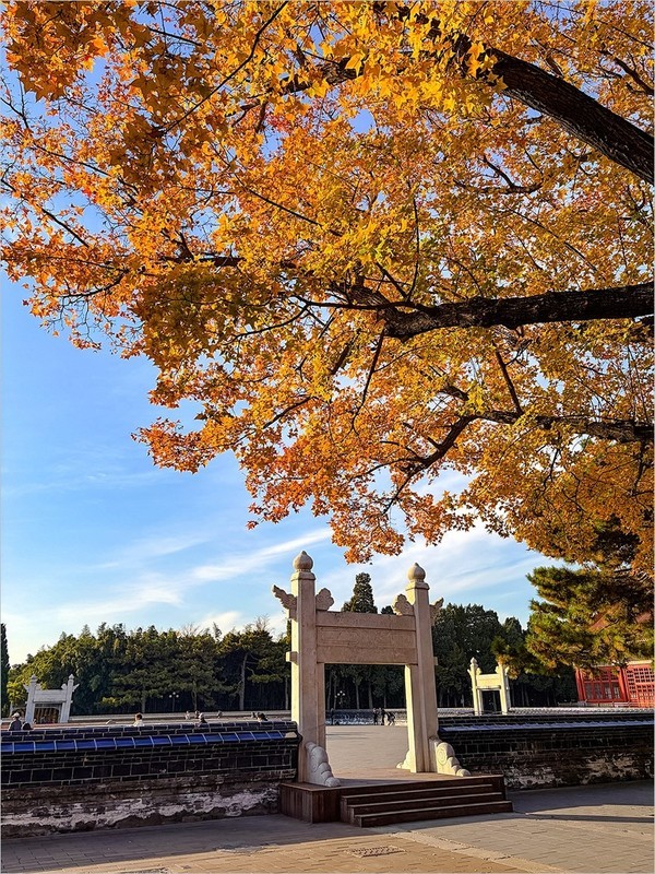 2025年-北京的秋天纪实拍-1068