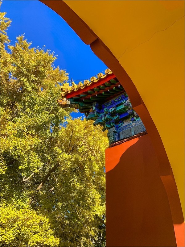 2025年-北京的秋天纪实拍-1068