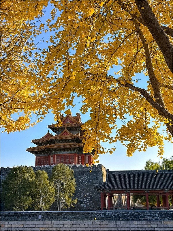 2025年-北京的秋天纪实拍-1068