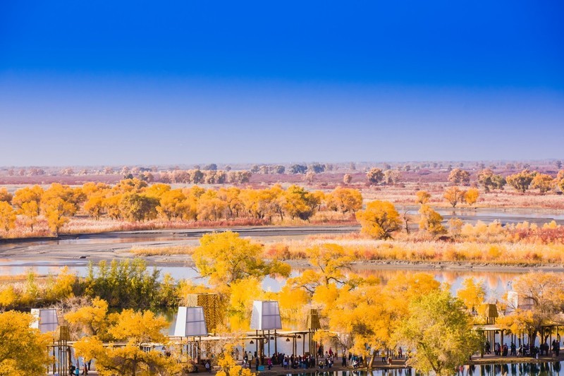 外出随拍（666）.