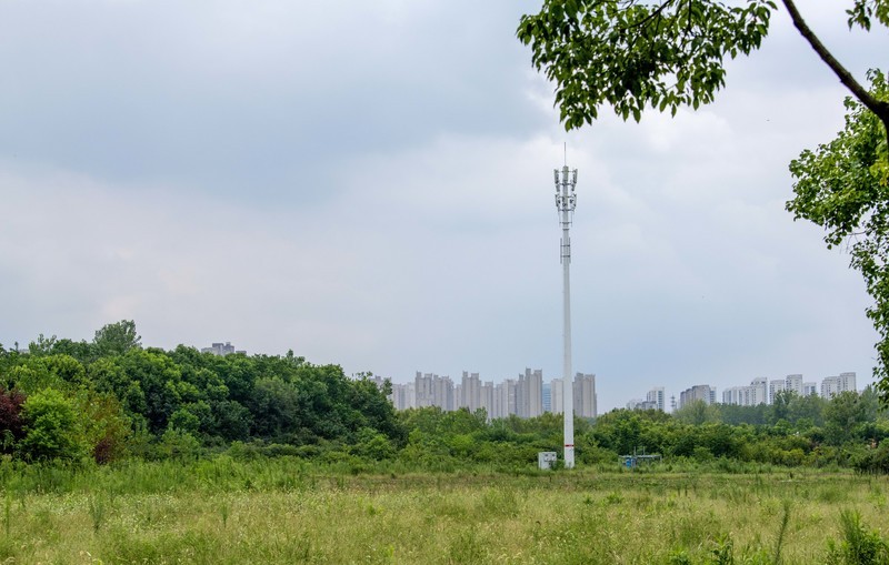 庐州印象（679）