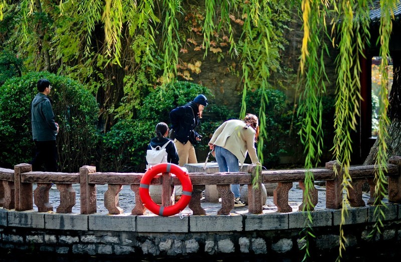 初冬——趵突泉公园●醉人的色彩 （二）