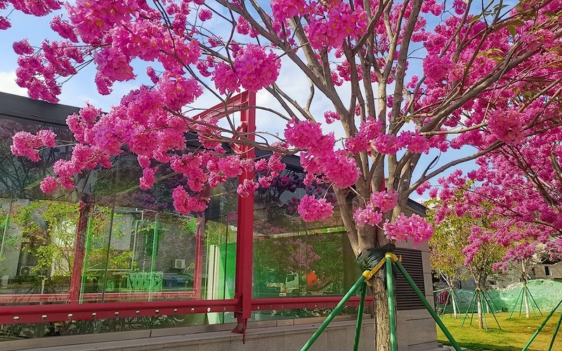 [26054] 大冲口地铁站