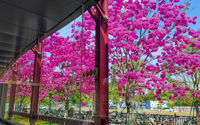 [26054] 大冲口地铁站