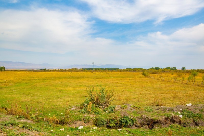 昭苏湿地公园跑马场10