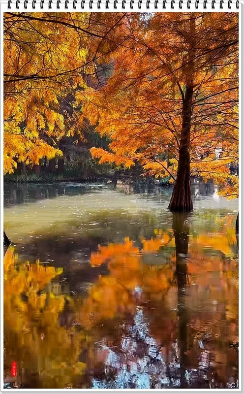 2025年-南京明孝陵纪实抓拍-1082