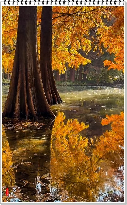 2025年-南京明孝陵纪实抓拍-1082