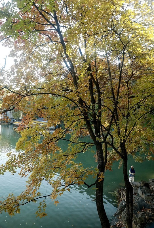 颐和秋韵之二（完）