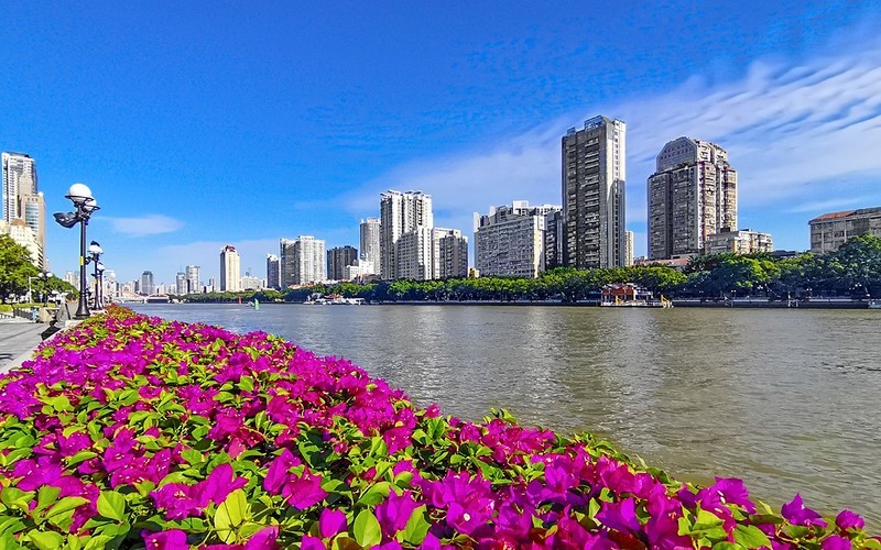 26057] 沿江西路的江边