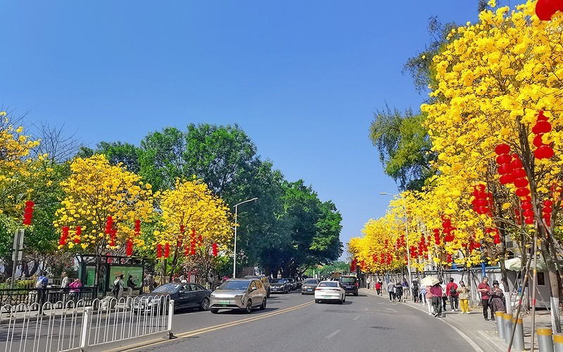26058] 洲头咀环岛路