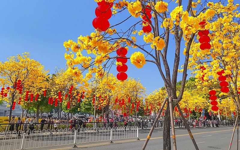 26058] 洲头咀环岛路