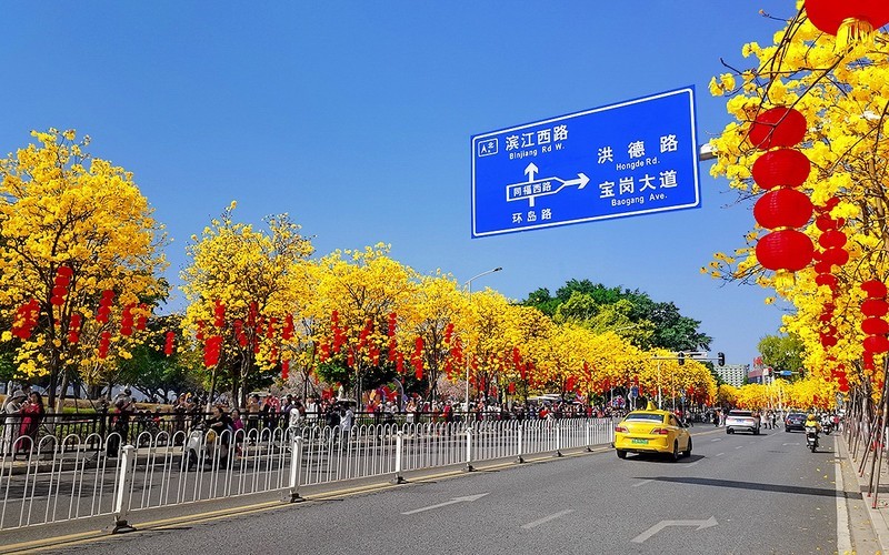 26058] 洲头咀环岛路