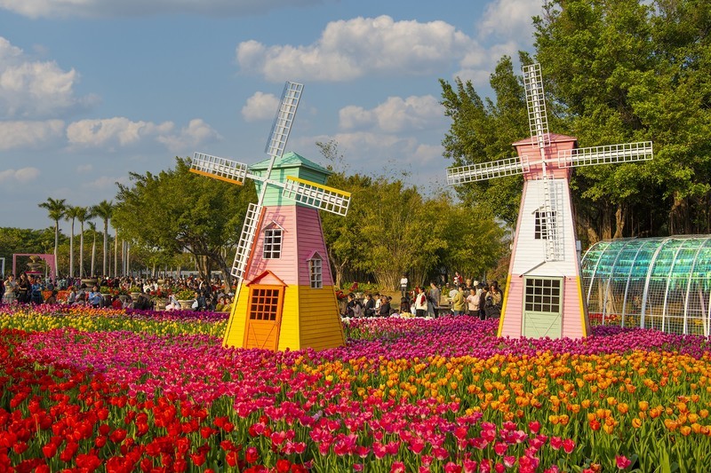 马年郁金香年度展香满园